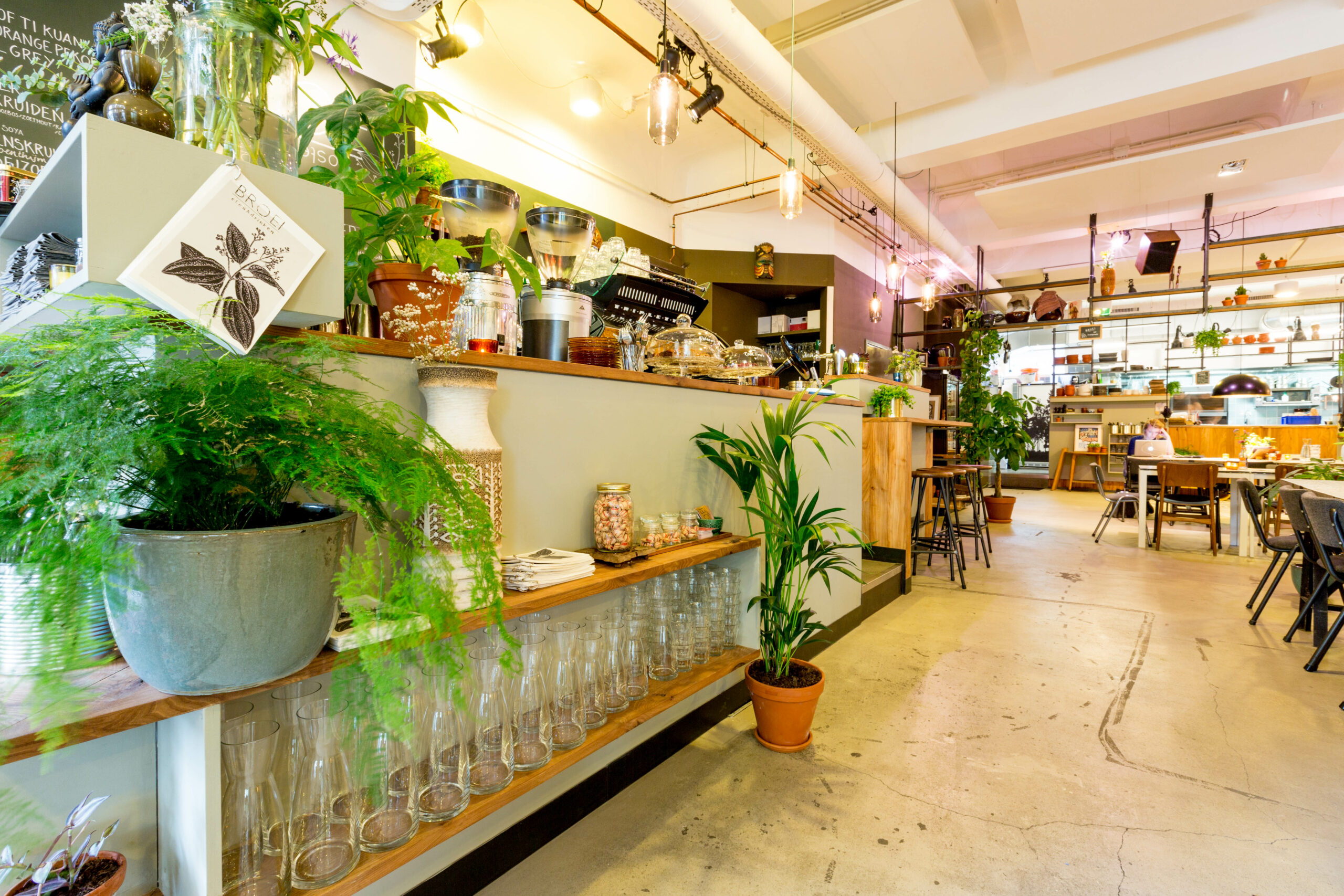 vegan eten bij restaurant Utrecht Broei