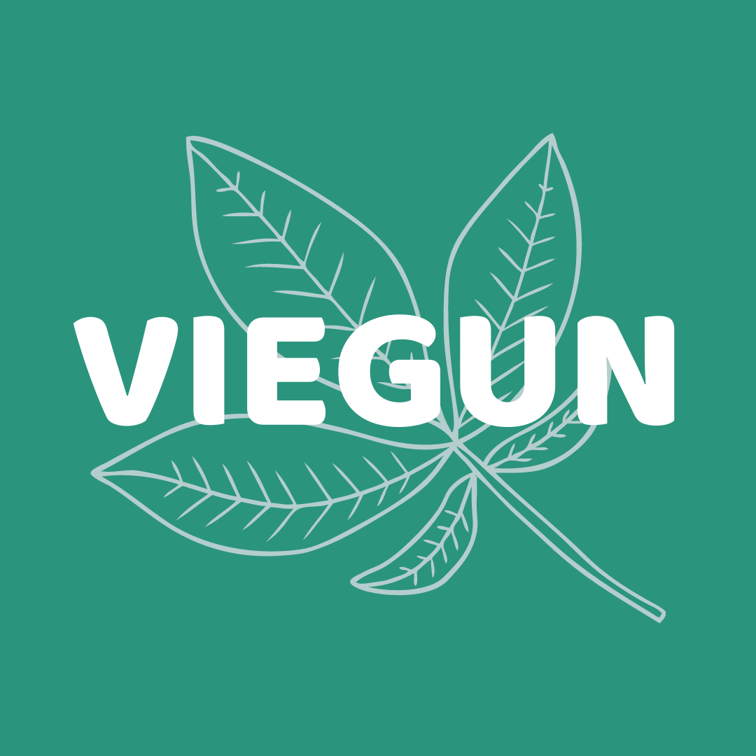 Viegun.nl is een website waar je leuke vegan producten en diensten kunt vinden zoals Lekker Plantaardig, het vegan kookboek.